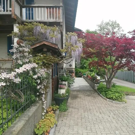 Ferienwohnung Am Rhein Koblach Buitenkant foto