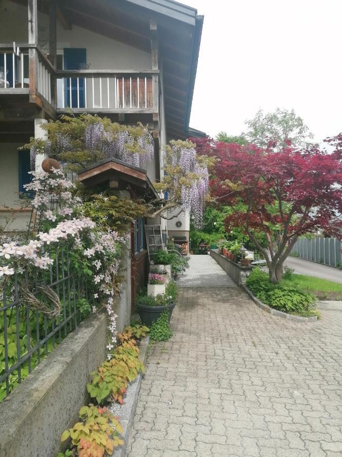 Am Rhein Apartament